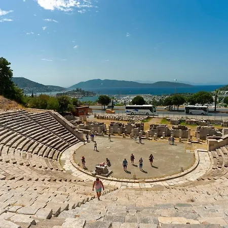 Family With Rooftop Sea Views In Yalikavak ボドルム