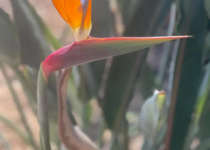 Family With Rooftop Sea Views In Yalikavak ヴィラ *