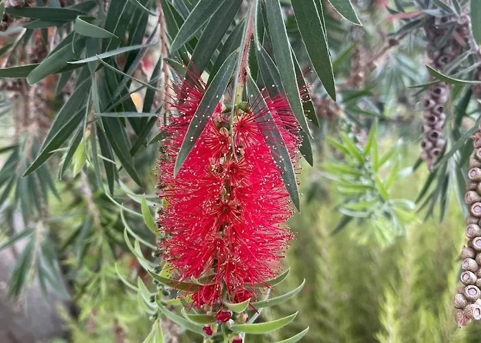 Family With Rooftop Sea Views In Yalikavak * ボドルム